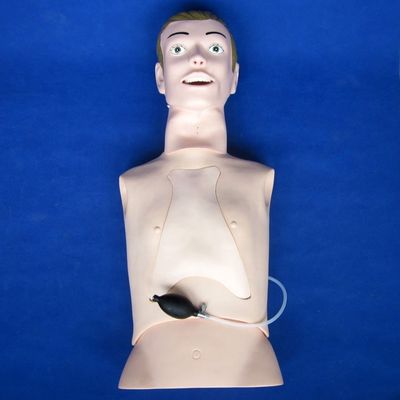 Professionelle menschliche Intubation und Saugtrainingsmannequin mit Pflegefunktion