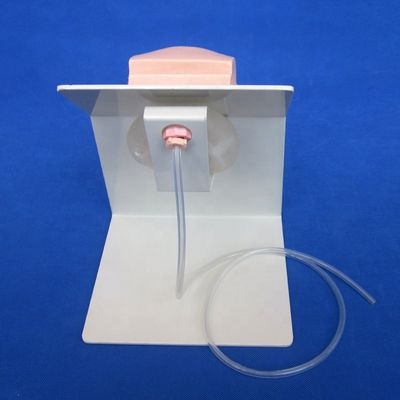 Realistische menschliche Mannequin ökonomische männliche Katheterisierung Lehre Simulator Pflege Ausbildung Modell