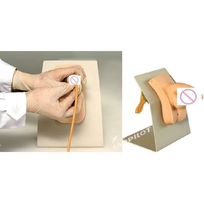 Realistische menschliche Mannequin ökonomische männliche Katheterisierung Lehre Simulator Pflege Ausbildung Modell