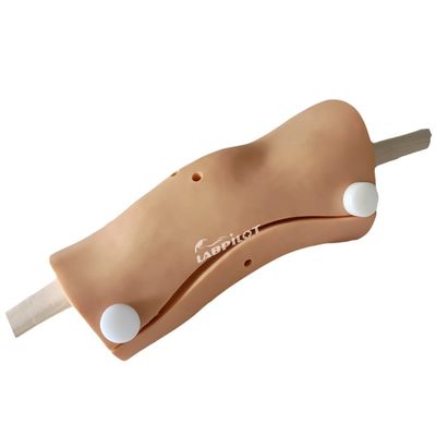 Arthroskopie Modell Knie Gelenk Medizinische Lehre Demonstration Simulator