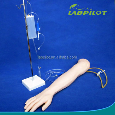 Intravenöse Infusion und Injektion Lehrarmmodell für medizinische Simulationspraxis