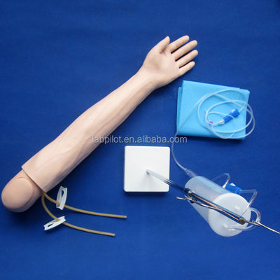 Intravenöse Infusion und Injektion Lehrarmmodell für medizinische Simulationspraxis