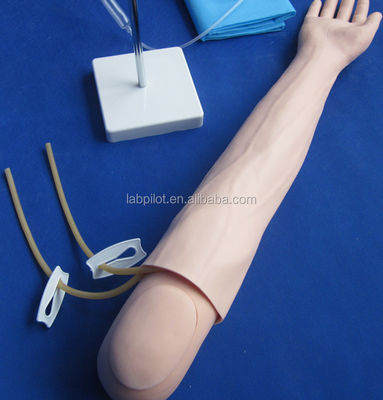 Intravenöse Infusion und Injektion Lehrarmmodell für medizinische Simulationspraxis