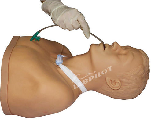 Krankenschwester-Drossel mit Saugschulung Funktion Erwachsene Tracheostomie Pflege und Saugen