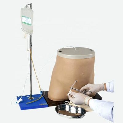 Peritoneale Dialyse-Trainings-Simulatormodell in menschlicher Lebensgröße mit fortgeschrittenem PVC-Material