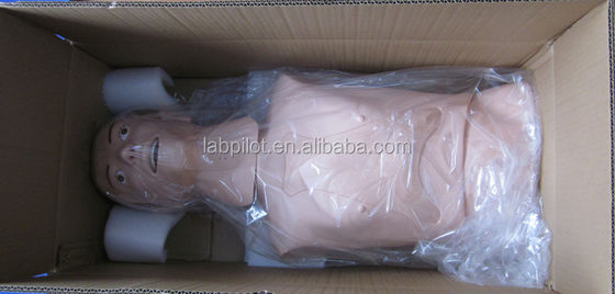 Halbkörper-Mannequin Das ultimative Lehrmodell für nasogastrische Ernährung in Krankenhäusern