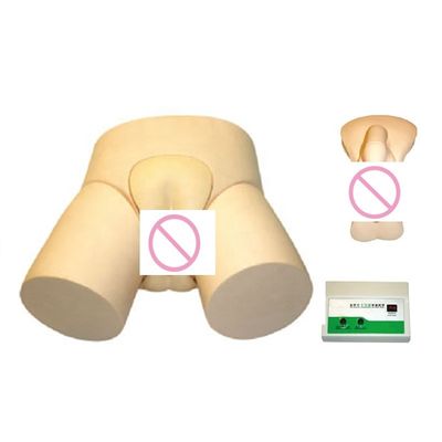 Erweitertes PVC-Modell zur elektronischen Urethralkatheterisation und Einlaufbildung für Fachkräfte