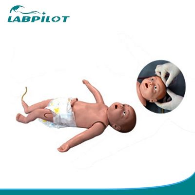 Nasendurchtrieb Funktion 2 Säuglingskrankenpflege Lehre Puppe Venipuncture Training Manikin