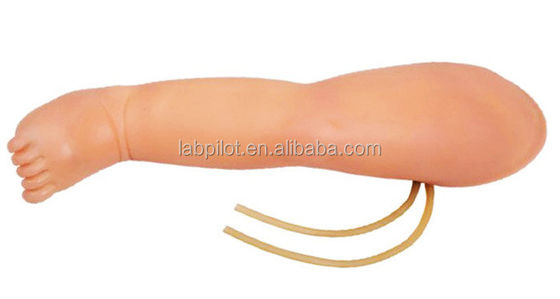 Infant Venipuncture Training Bein IV Injektionssimulator mit Vorteil von fortgeschrittenem PVC