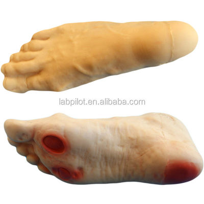 Diabetische Fußpflege Simulator Modell mit Enema Fähigkeiten Lehre Mannequin
