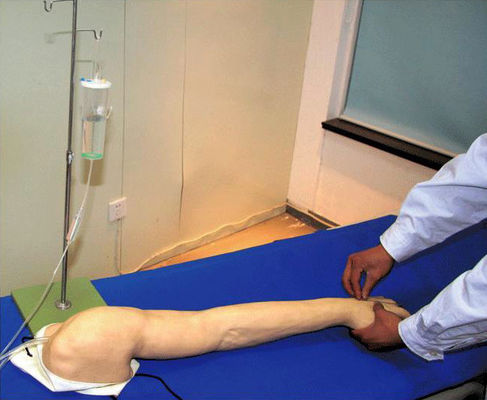 Voll funktionsfähiges Fortgeschrittenes Modell für PVC-venöse Transfusion und Injektion
