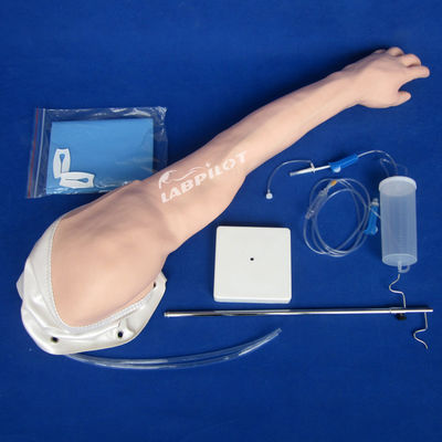Voll funktionsfähiges Fortgeschrittenes Modell für PVC-venöse Transfusion und Injektion