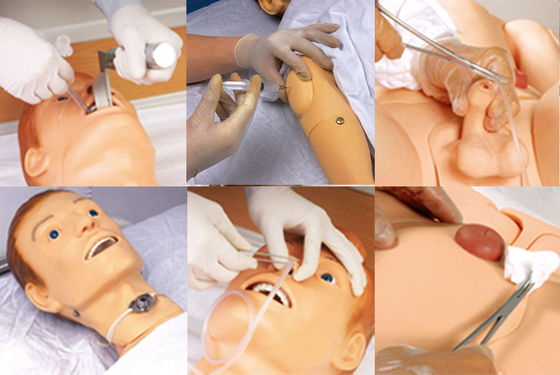 Mehrzweck-Krankenpflege-Manikin mit Venipuncture- und BP-Messungstrainingsfunktionen