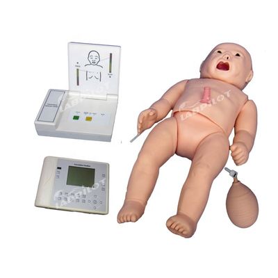 CPR Auskultation Funktion Mannequin für die multifunktionale Mutterschaft und pädiatrische Pflege