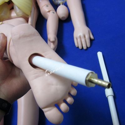 Kinderheilkunde Anatomisches Modell für die Ausbildung von 3-Jährigen in der Mutterschaft und Kinderpflege