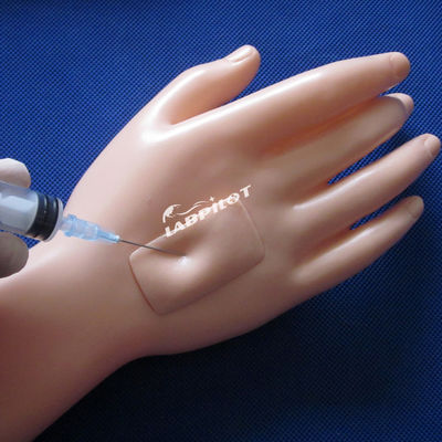 Hochfunktionale, einfache Patientenpflege-Mannequin für die Ausbildung von Krankenpflegern in der Medizinischen Wissenschaft