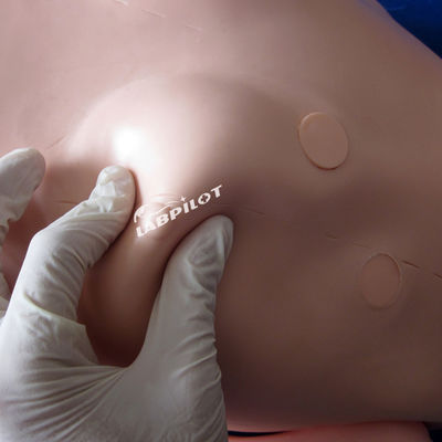 Hochfunktionale, einfache Patientenpflege-Mannequin für die Ausbildung von Krankenpflegern in der Medizinischen Wissenschaft