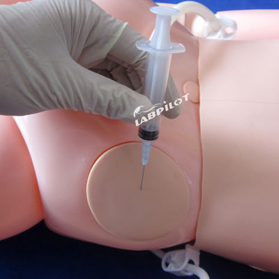 Hochfunktionale, einfache Patientenpflege-Mannequin für die Ausbildung von Krankenpflegern in der Medizinischen Wissenschaft