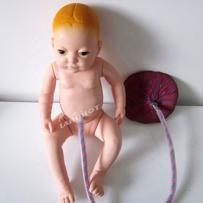 Modernes Modell für die Plazentapflege in PVC Neugeborenen-Babymaniquin für Angestellte im Gesundheitswesen