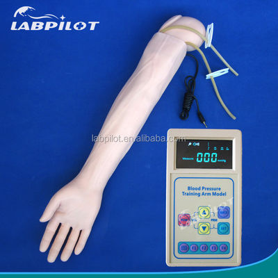 Erweiterte PVC-Manikine für die Simulation von Armen in der medizinischen Praxis und BP-Messungstraining