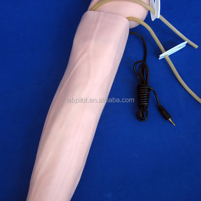 Erweiterte PVC-Manikine für die Simulation von Armen in der medizinischen Praxis und BP-Messungstraining