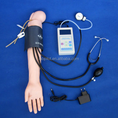Erweiterte PVC-Manikine für die Simulation von Armen in der medizinischen Praxis und BP-Messungstraining