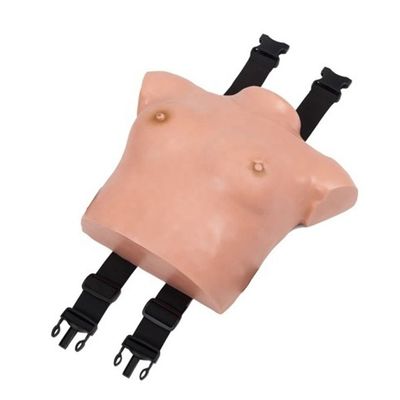 Erweiterte PVC-Wearable Brustuntersuchungsmodell für GYN-Fähigkeiten Unterricht Anatomie-Lektion