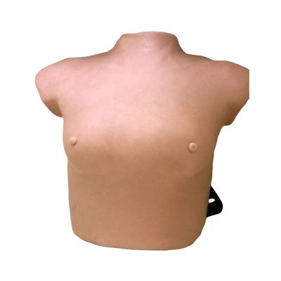 Erweiterte PVC-Wearable Brustuntersuchungsmodell für GYN-Fähigkeiten Unterricht Anatomie-Lektion