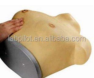 Erweiterte PVC-Wearable Brustuntersuchungsmodell für GYN-Fähigkeiten Unterricht Anatomie-Lektion