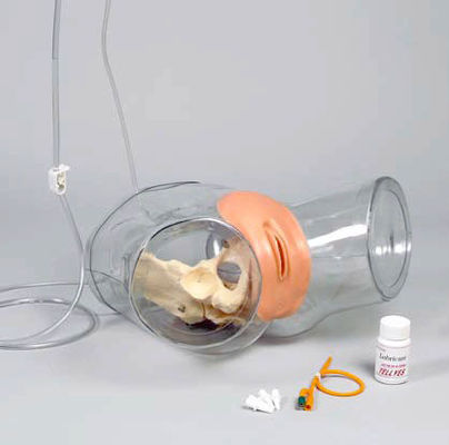 Erweiterte PVC-transparente Urethralkatheterisierung für Frauen für die Pflege