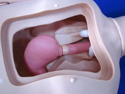 Voll flexibler Patientensimulator Krankenschwestern-Ausbildungspuppen für individuelle Ausbildung