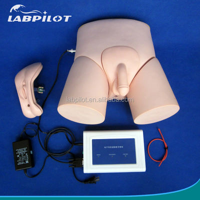 Medizinische Lehre Simulatoren Erwachsene Katheterisierung Ausbildung mit Intubation Monitor