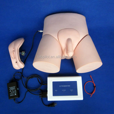 Medizinische Lehre Simulatoren Erwachsene Katheterisierung Ausbildung mit Intubation Monitor