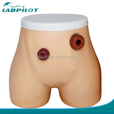 Erweitertes PVC-Stomie-Krankenpflegemodell für die Ausbildung zur Ileostomie und Kolostomie in Krankenhäusern