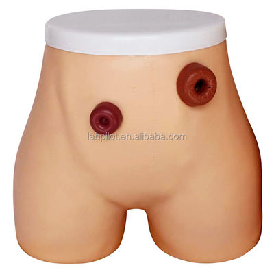Erweitertes PVC-Stomie-Krankenpflegemodell für die Ausbildung zur Ileostomie und Kolostomie in Krankenhäusern