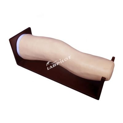 Erweitertes Knie-Modell aus PVC für Intraartikulare Injektionen und gemeinsames Aspirationstraining