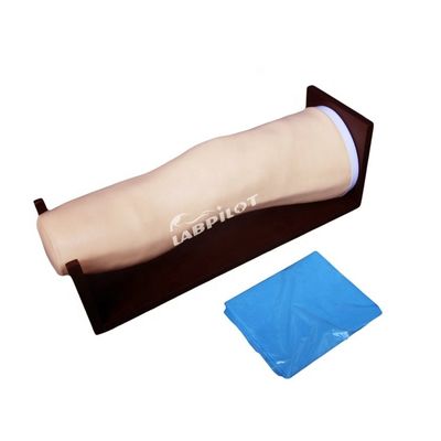 Erweitertes Knie-Modell aus PVC für Intraartikulare Injektionen und gemeinsames Aspirationstraining