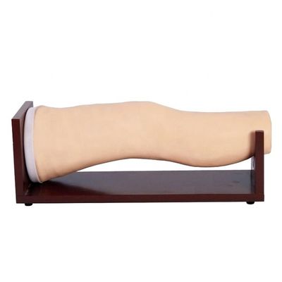 Erweitertes Knie-Modell aus PVC für Intraartikulare Injektionen und gemeinsames Aspirationstraining