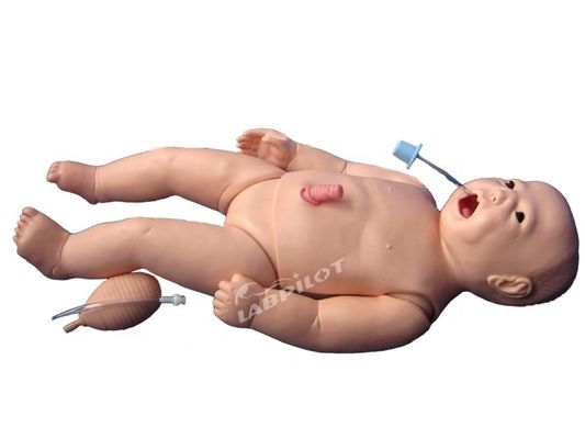 ACLS Neugeborene Krankenschwester Mannequin menschliche Lebensgröße Fach für Medizinische Wissenschaft Lehre
