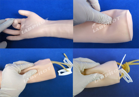 Verkaufsmodell für die Ausbildung zur Intravenösen Infusion und Bluttransfusion