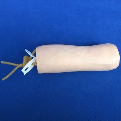 Medizinische Wissenschaft Ökonomische Weichvenenektur und IV-Injektion Lehre Modell Ellbogenpunktions-Simulator