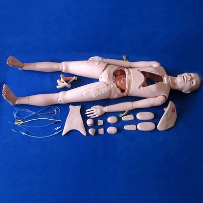 Patientenbetreuung Demonstration Fortgeschrittene Medizinische Wissenschaft Pflege Mannequin mit inneren Organen