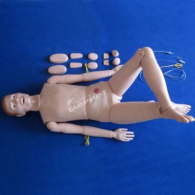 Patientenbetreuung Demonstration Fortgeschrittene Medizinische Wissenschaft Pflege Mannequin mit inneren Organen