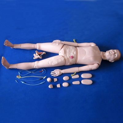 Patientenbetreuung Demonstration Fortgeschrittene Medizinische Wissenschaft Pflege Mannequin mit inneren Organen