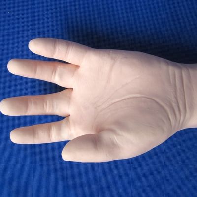 Umfassende Venipuncture-Ausbildung Arm menschliche Lebensgröße Modell für IV und IM Injektionen