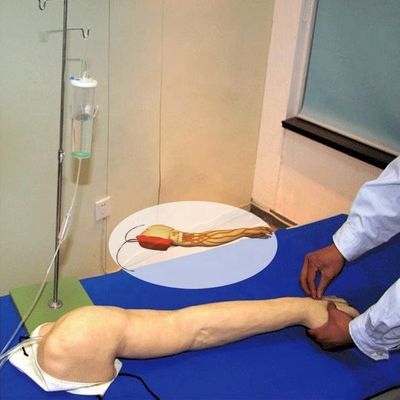 Umfassende Venipuncture-Ausbildung Arm menschliche Lebensgröße Modell für IV und IM Injektionen