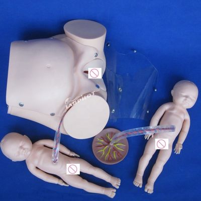 Menschliche Lebensgröße Schwangere Puppe Baby Labor Lieferung Simulator für Medizinische Wissenschaft Modell