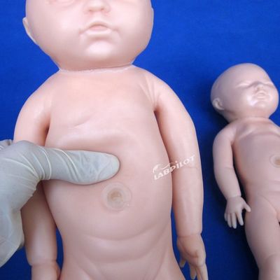 Menschliche Lebensgröße Schwangere Puppe Baby Labor Lieferung Simulator für Medizinische Wissenschaft Modell