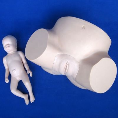 Erweiterter PVC-Druckspieler für die Schwangerschafts- und Geburtssimulator für Vakuumausbildung