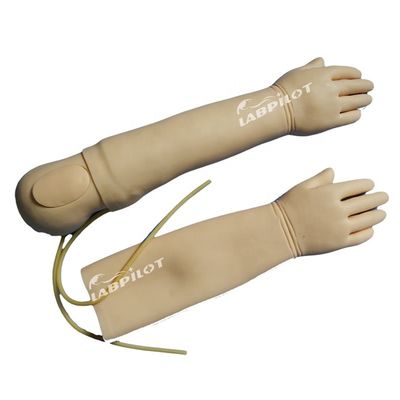 Weiterentwickeltes PVC-Material Intravenöse Infusionsschulung für 4-Jährige